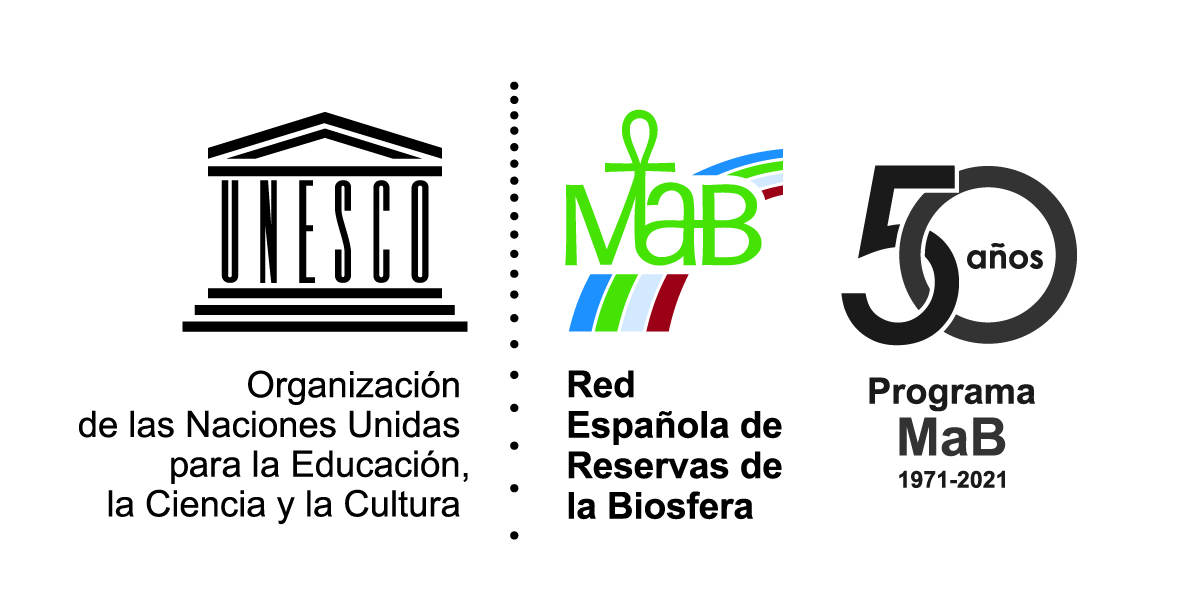 AF logo unesco aniversario arreglado