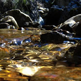 Sierra de Cazorla - Nacimiento del Guadalquivir