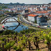 Mariñas Coruñesas e Terras do Mandeo - Viticultura en Betanzos