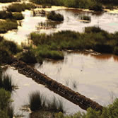 Menorca - Albufera des Grau