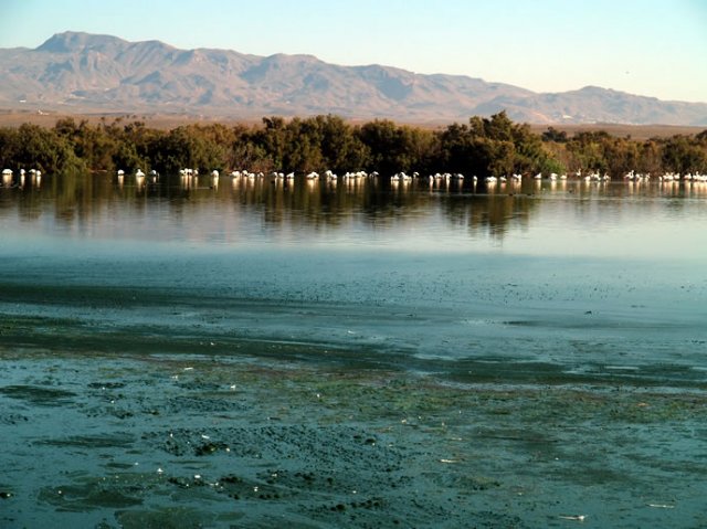 CABO DE GATA-NÍJAR | La desembocadura de Rambla Morales forma una laguna costera frecuentada por los flamencos