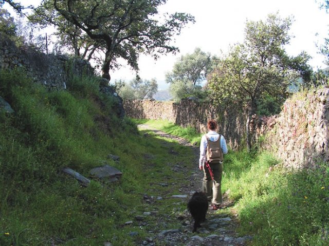 DEHESAS DE SIERRA MORENA | Excursionista  por el sendero de  los Madroños