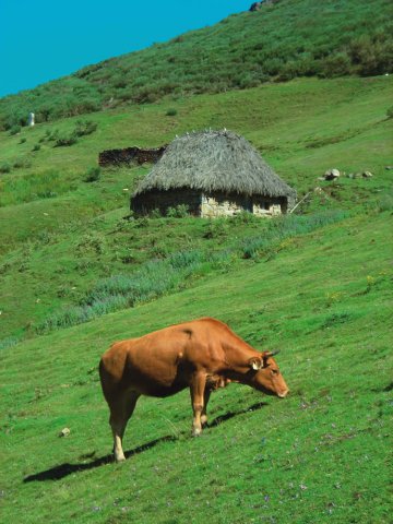 SOMIEDO | Braña La Mesa