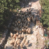 Sierra de Grazalema - Barrio Nazarí de Benaocaz